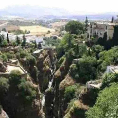 Xii Morales & Arnal *