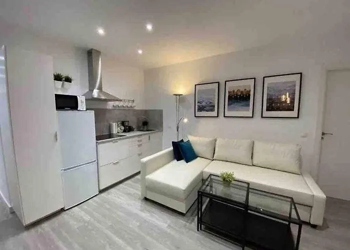 Xii Morales & Arnal *