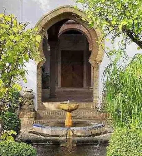 Xii Morales & Arnal Ronda